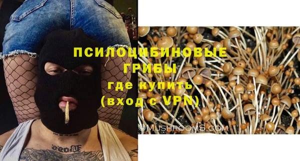 apvp Аркадак