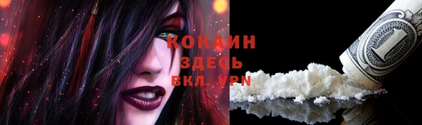 apvp Аркадак