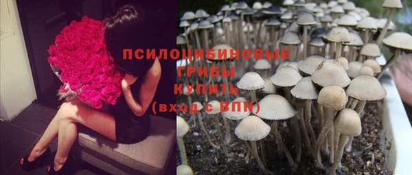 спиды Балабаново