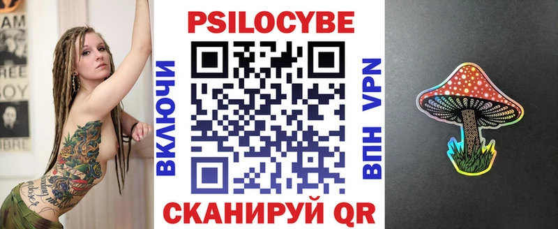 купить   Волгореченск  блэк спрут рабочий сайт  Псилоцибиновые грибы мицелий 